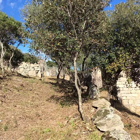 Casa Martinetti