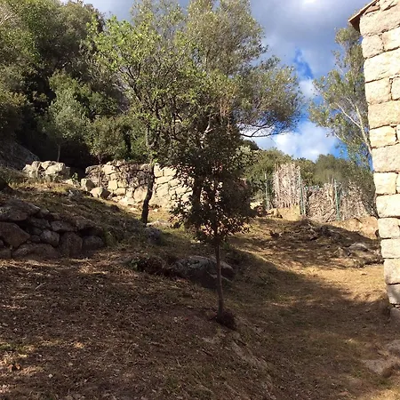 Casa Martinetti